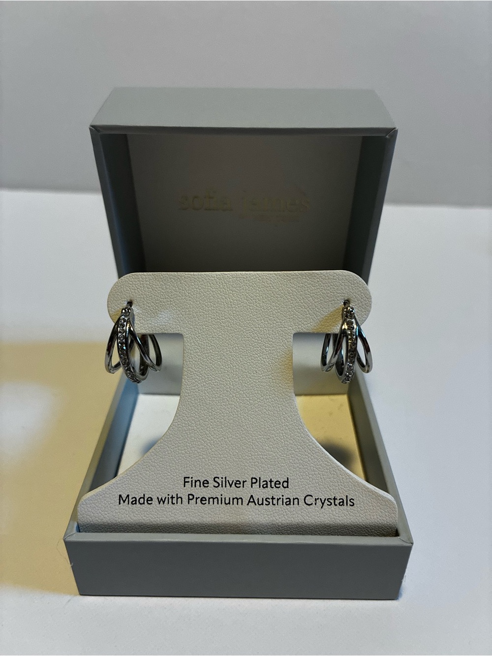 Sofia James Silver Hoop Earrings